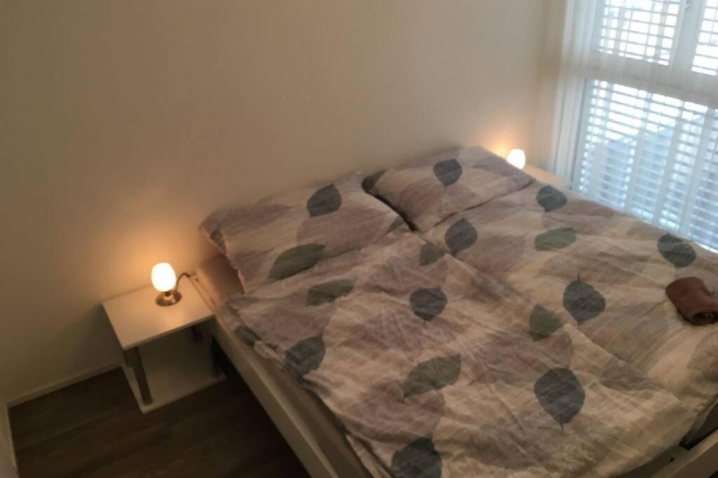 Modern Apartment 모던 펜션 Ιντερλάκεν Εξωτερικό φωτογραφία